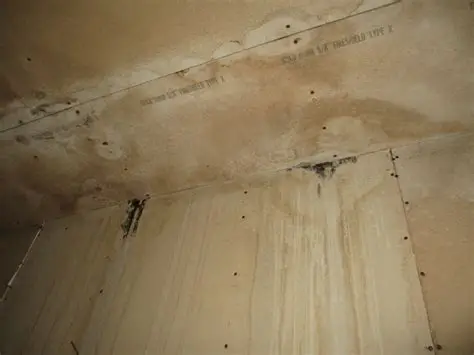 Water leak causes mold